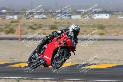 media/Feb-04-2023-SoCal Trackdays (Sat) [[8a776bf2c3]]/Turn 11 (945am)/